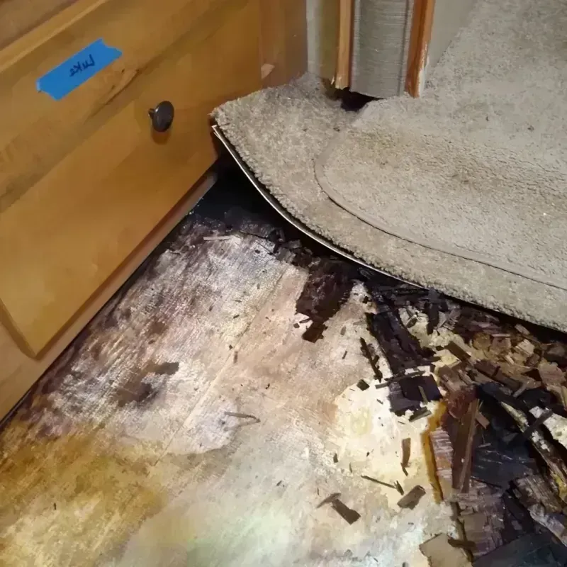 Wood Floor Water Damage in Lisle, IL